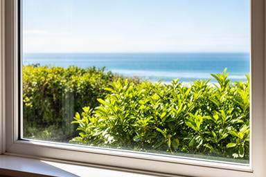 Cleaned coastal home window with a clear view through the glass to the garden